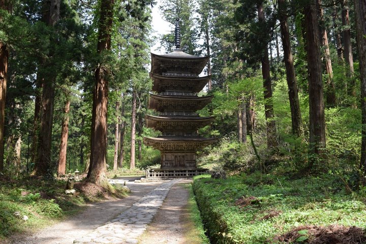 Mt Haguro Pagoda Express Private Tour from Sakata Port