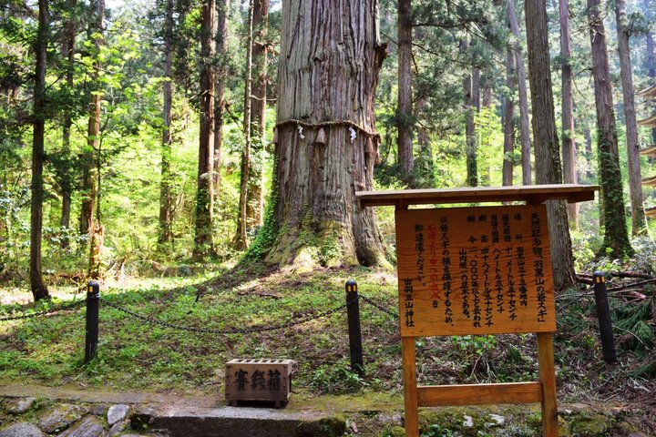 Mt Haguro Pagoda Express Private Tour from Sakata Port