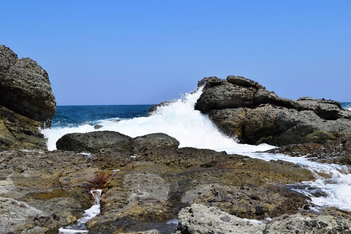 Private Kamo Aquarium Dash Tour from Sakata Port