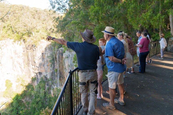 Springbrook Waterfalls & Natural Bridge Tour from Gold Coast