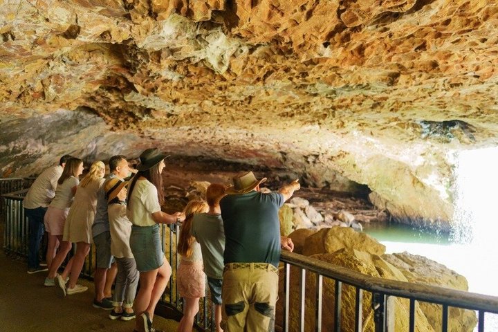 Springbrook Waterfalls & Natural Bridge Tour from Gold Coast