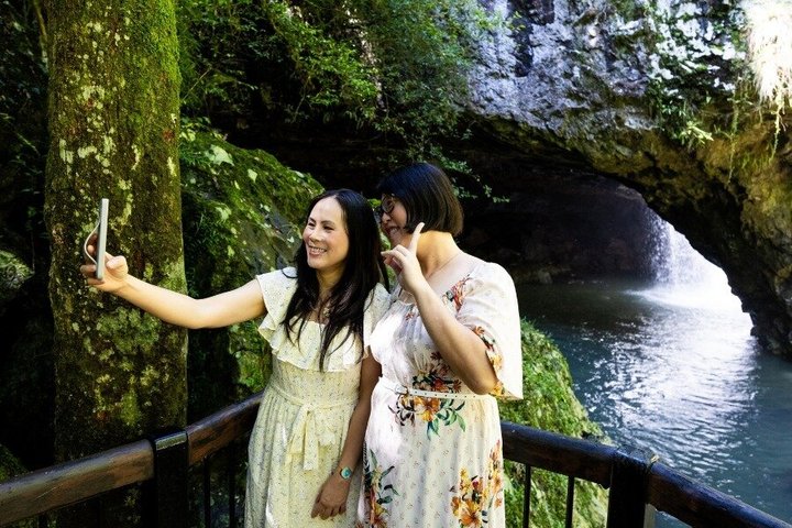 Springbrook Waterfalls & Natural Bridge Tour from Gold Coast