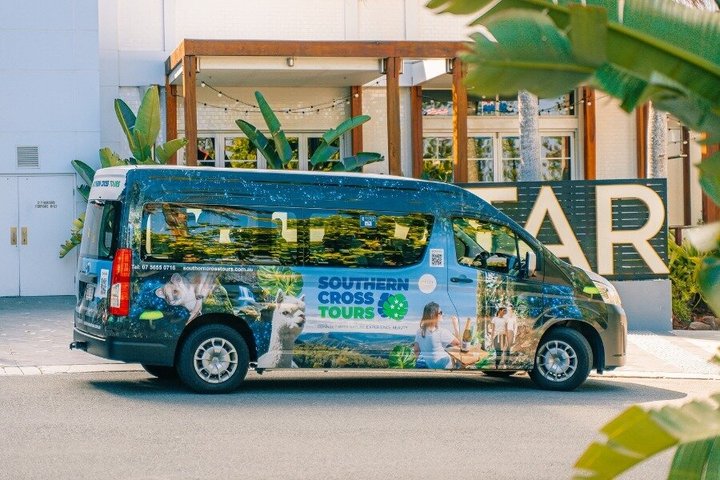 Springbrook Waterfalls & Natural Bridge Tour from Gold Coast