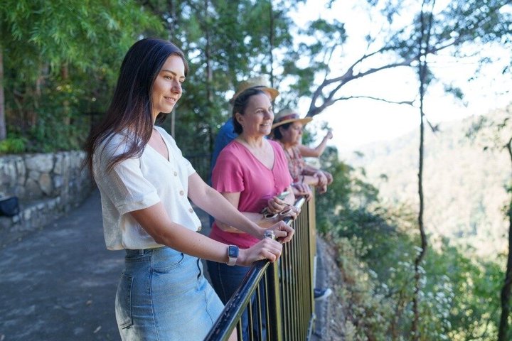 Springbrook Waterfalls & Natural Bridge Tour from Gold Coast