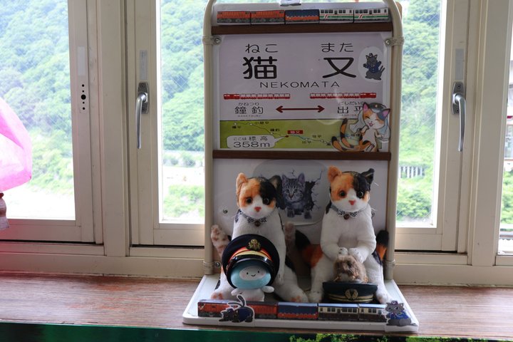 Kurobe Gorge Railway Private Tour