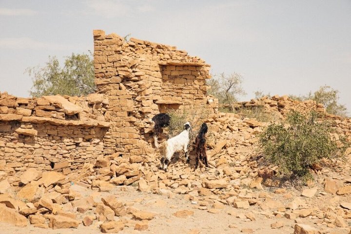 Nomadic Non-Touristic Overnight Tour & camel Safari