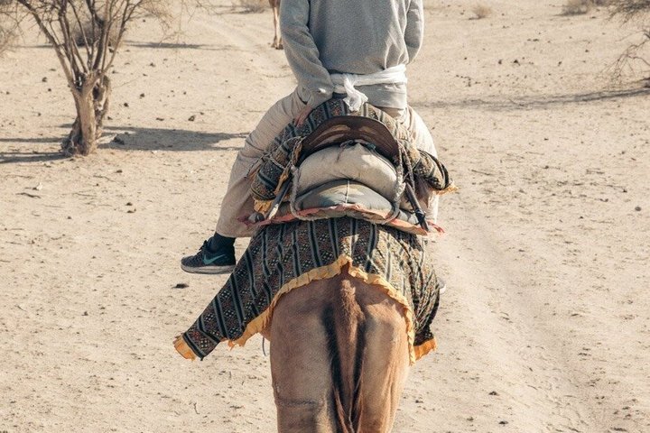 Nomadic Non-Touristic Overnight Tour & camel Safari