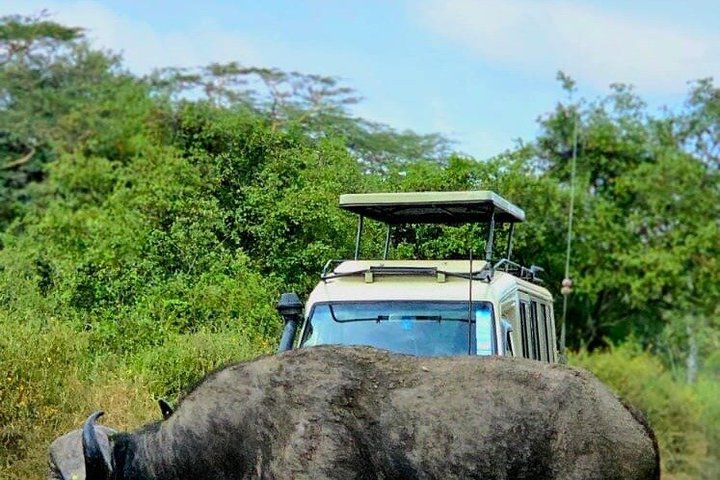 Half Day Guided Tour in Nairobi National Park With 4*4 Vehicle