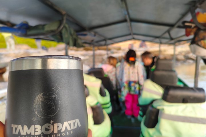 Parrots in Tambopata and search for sloths