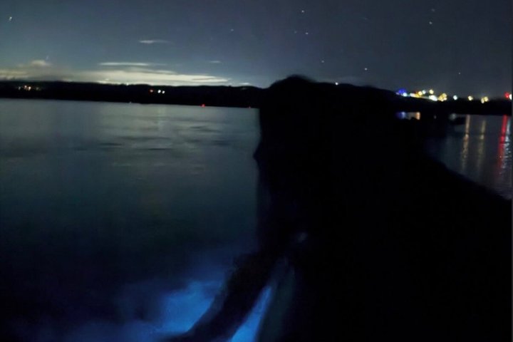 Vieques Puerto Rico Kayak Experience-The World Brightest BioBay