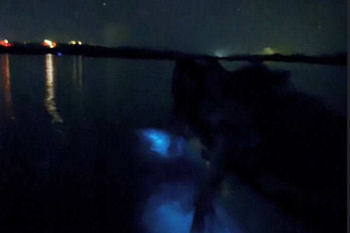 Vieques Puerto Rico Kayak Experience-The World Brightest BioBay