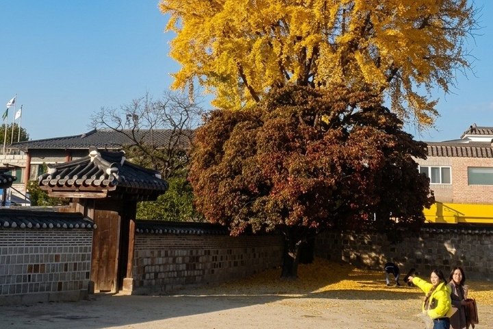 Discover Suwon: UNESCO Fortress & Hidden Gems Private Tour