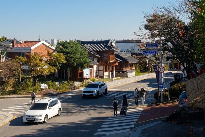 Discover Suwon: UNESCO Fortress & Hidden Gems Private Tour
