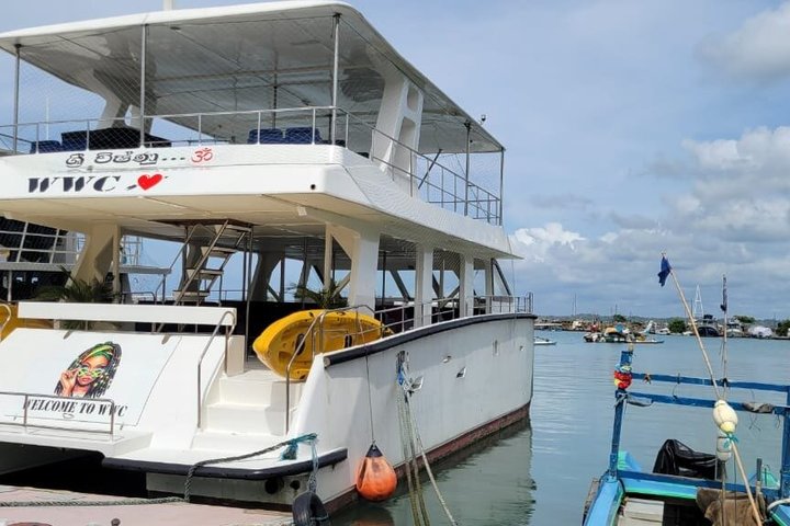 Whale Watching Mirissa with WWC
