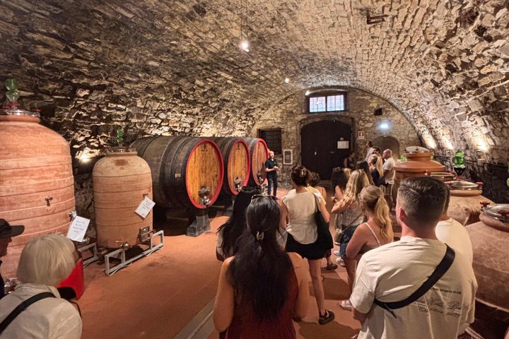 Small-Group Wine Tasting Experience in the Tuscan Countryside