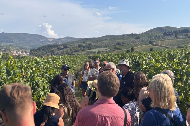 Small-Group Wine Tasting Experience in the Tuscan Countryside