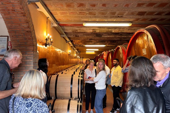Small-Group Wine Tasting Experience in the Tuscan Countryside