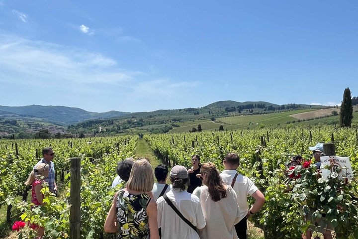 Small-Group Wine Tasting Experience in the Tuscan Countryside