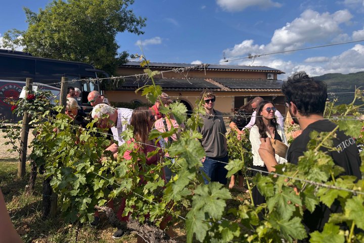 Small-Group Wine Tasting Experience in the Tuscan Countryside