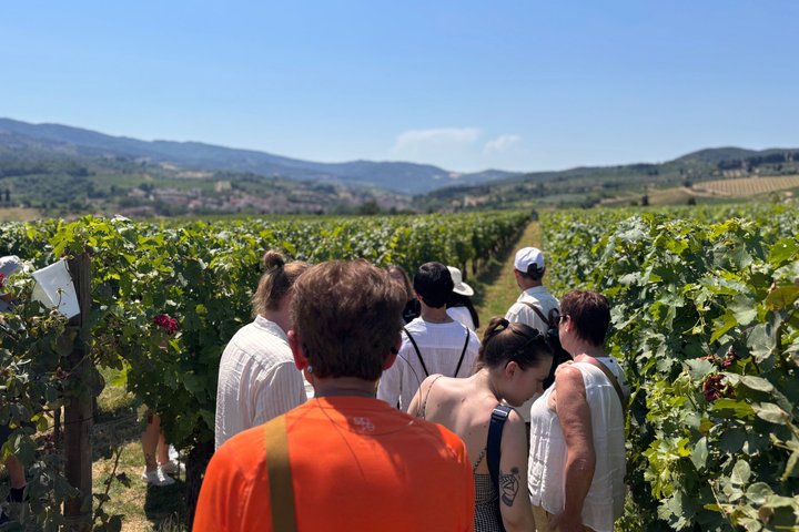 Small-Group Wine Tasting Experience in the Tuscan Countryside