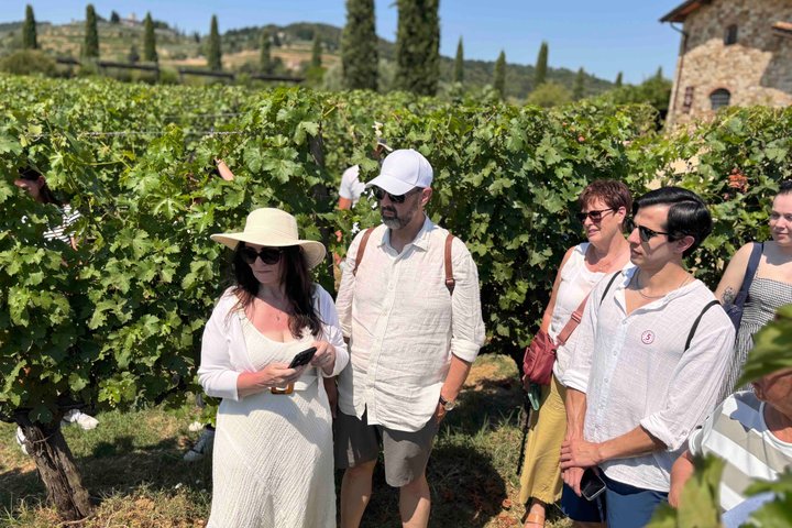 Small-Group Wine Tasting Experience in the Tuscan Countryside