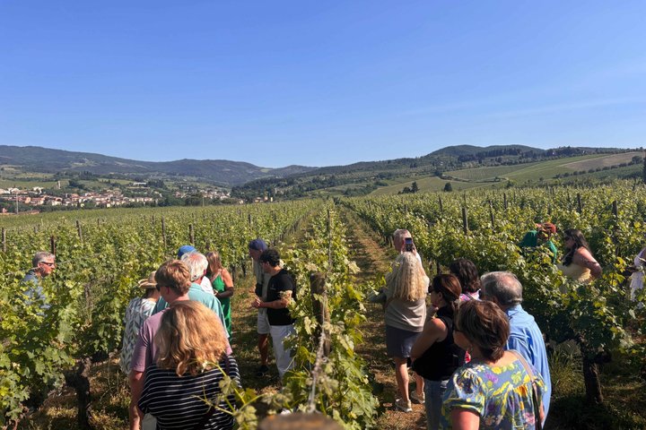 Small-Group Wine Tasting Experience in the Tuscan Countryside