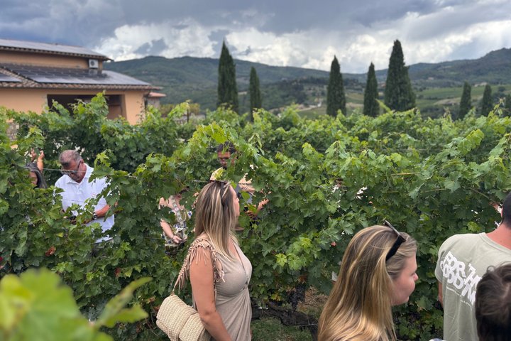 Small-Group Wine Tasting Experience in the Tuscan Countryside