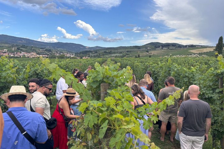 Small-Group Wine Tasting Experience in the Tuscan Countryside
