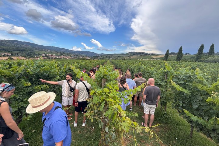 Small-Group Wine Tasting Experience in the Tuscan Countryside