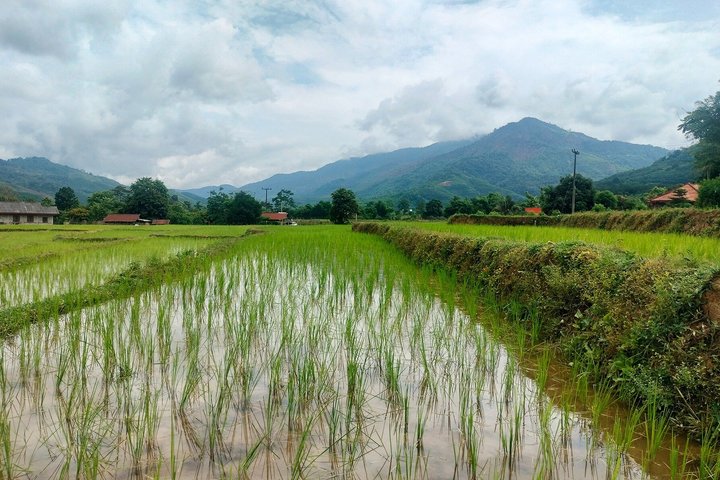 1 Day Trip to Vang Vieng Immersion History Nature and Culture