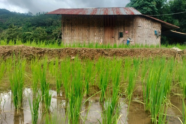 1 Day Trip to Vang Vieng Immersion History Nature and Culture