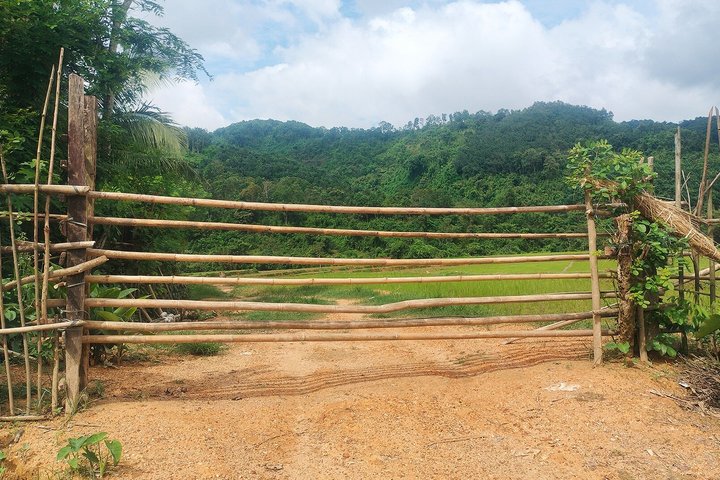 1 Day Trip to Vang Vieng Immersion History Nature and Culture