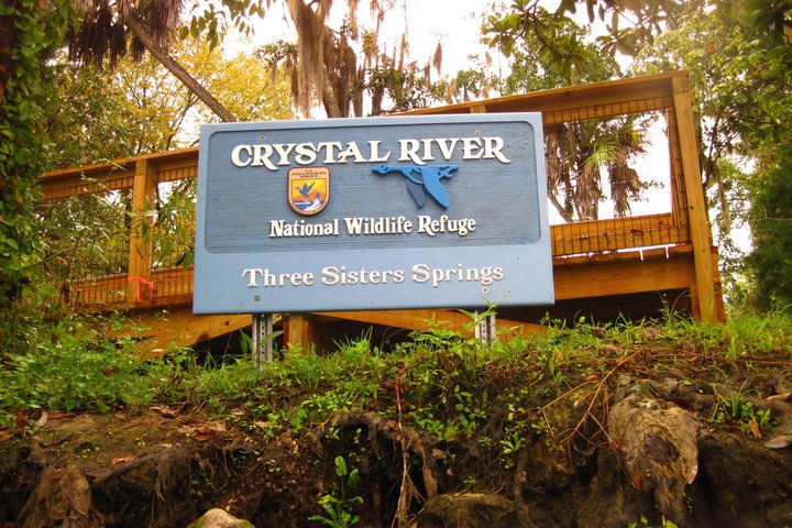 See Crystal River - Mantee & Wildlife Viewing Cruise