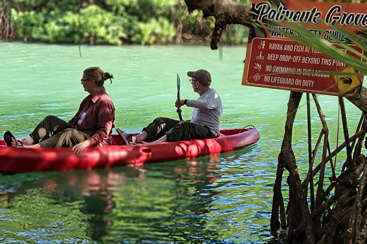 Hopkins Kayaking and Garifuna Cooking Experience