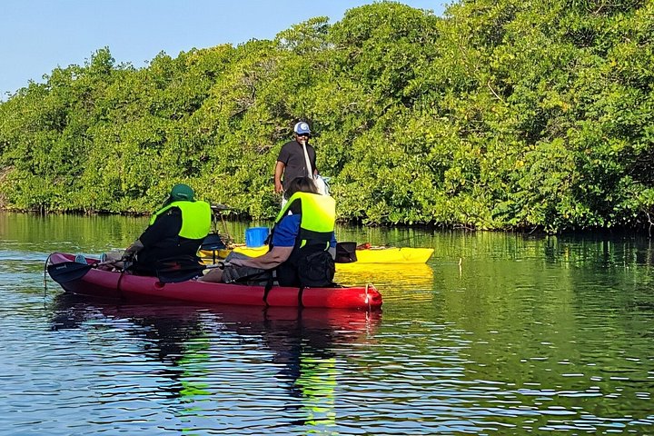 Hopkins Kayaking and Garifuna Cooking Experience