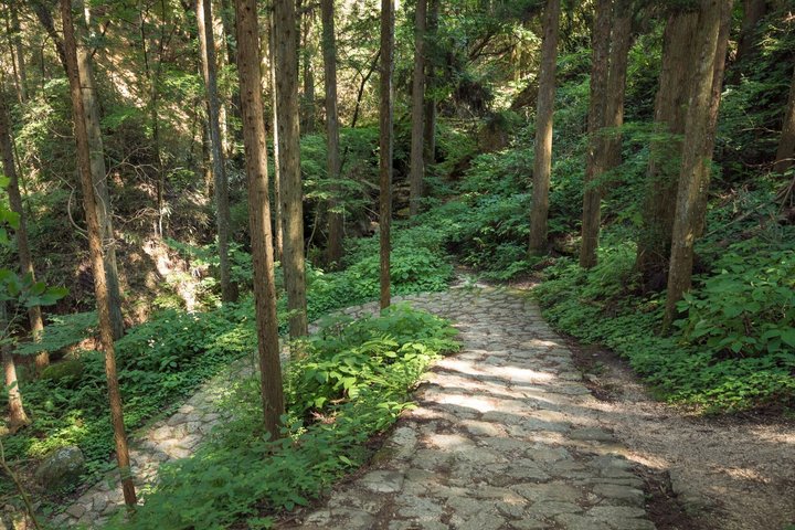 Hiking the Historic Nakasendo Trail [1 Day Tour from Nagoya]
