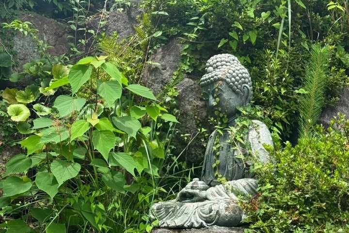 eBike Tour: Beppu's Secret Hells & Hot Spring Wonders