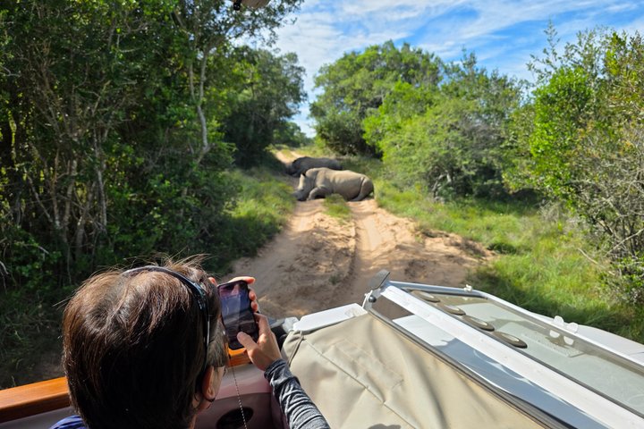 Half-Day Schotia Game Reserve (Open 4x4 Safari Vehicle)