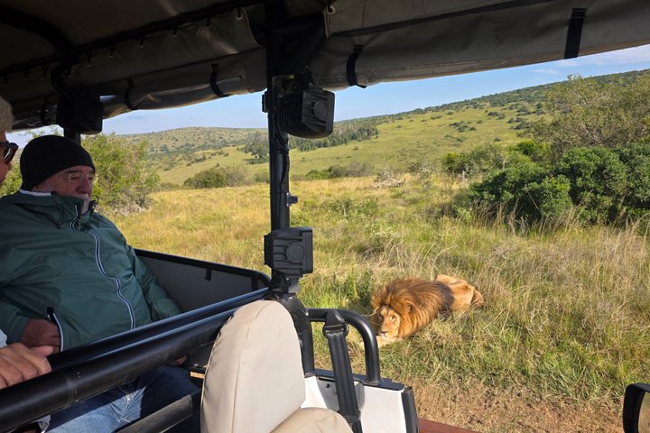 Half-Day Schotia Game Reserve (Open 4x4 Safari Vehicle)