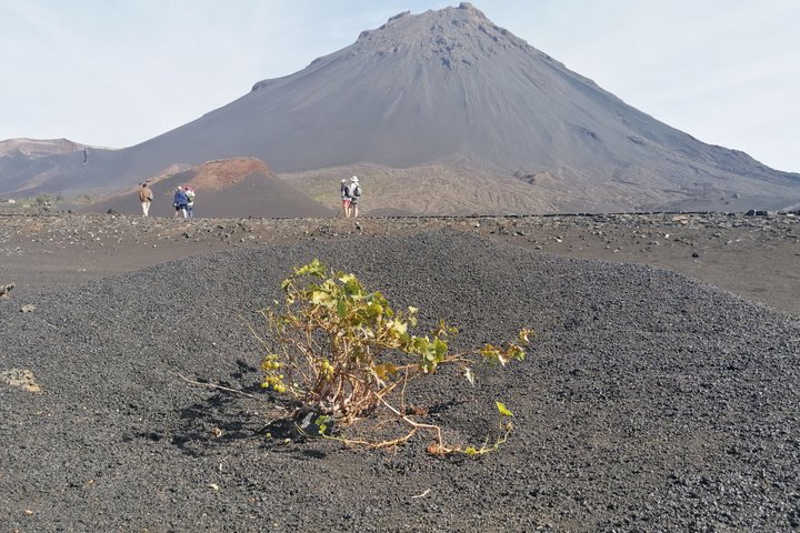 Hiking to Petit Pico and the Crater of 2014
