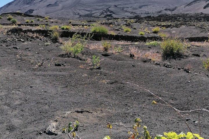 Ascent of Pico do Fogo, Fogo Volcano