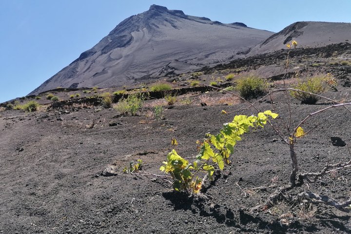 Ascent of Pico do Fogo, Fogo Volcano