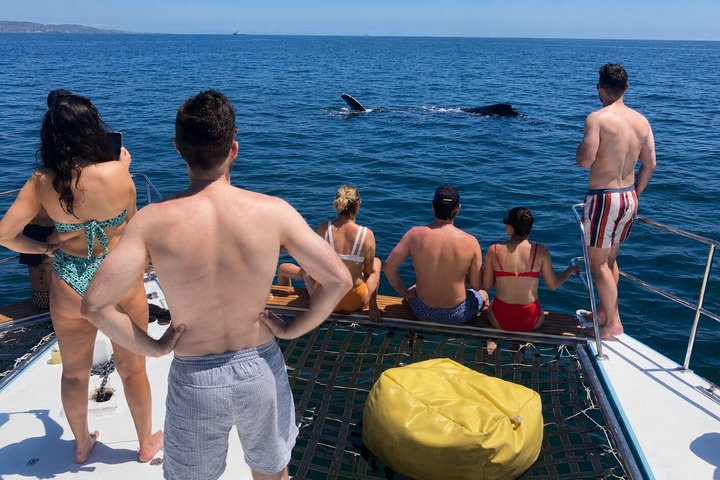 Private Sunset Boat Cruise in Banderas Bay Snacks and Drinks