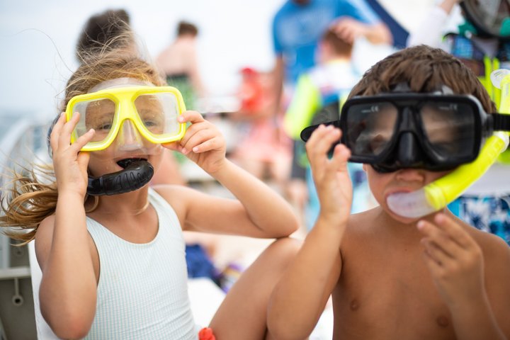 3 Hour Panama City Beach Dolphin Cruise and Shell Island Tour