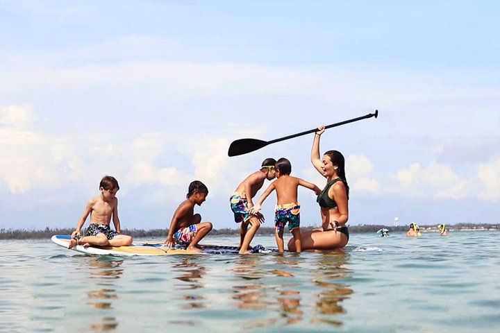 3 Hour Panama City Beach Dolphin Cruise and Shell Island Tour