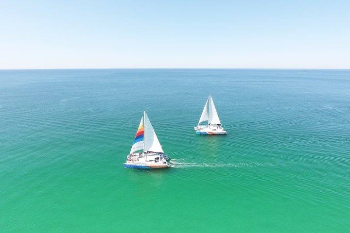 3 Hour Panama City Beach Dolphin Cruise and Shell Island Tour