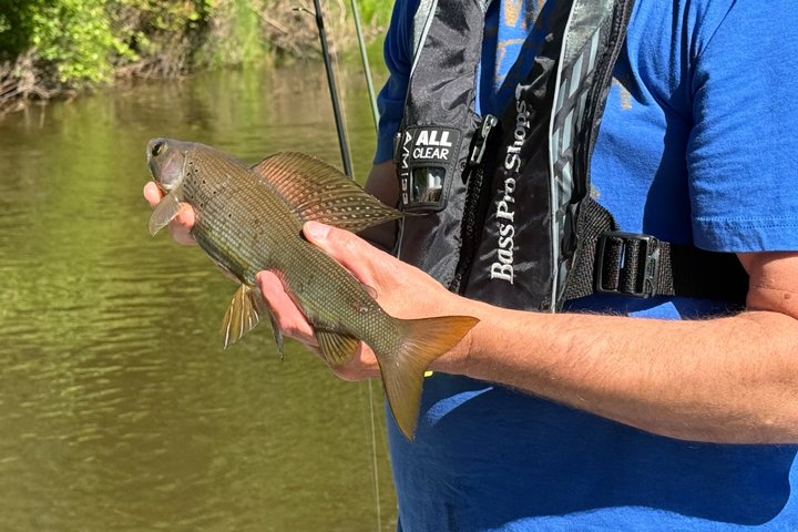 Guided Fishing Adventure On The Chena River By Boat