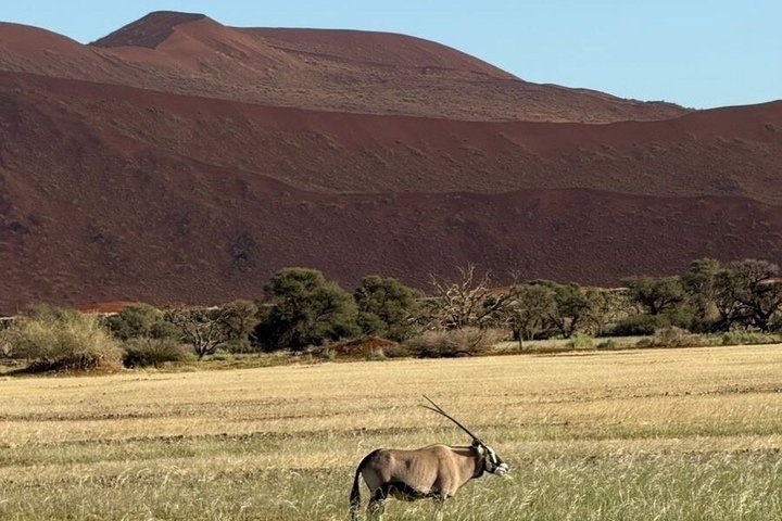 3-Days Sossusvlei Namibia Desert Tour.