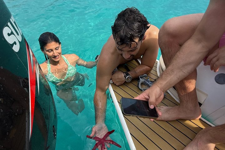 Tropea and Capo Vaticano Boat Tour with Bath Stops