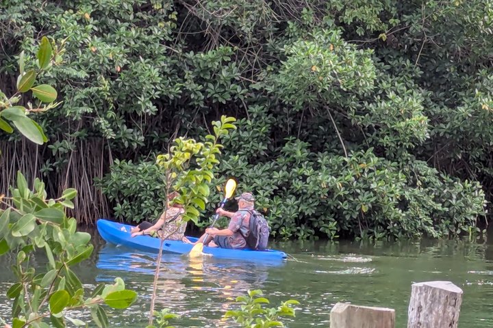 Garifuna Cultural and Culinary Experience in Hopkins Belize